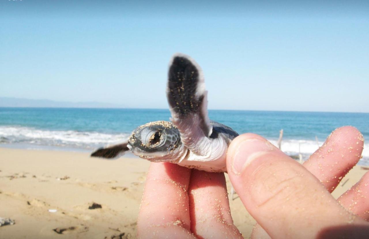 Rekawa Turtle Gate Hotel タンガラ エクステリア 写真