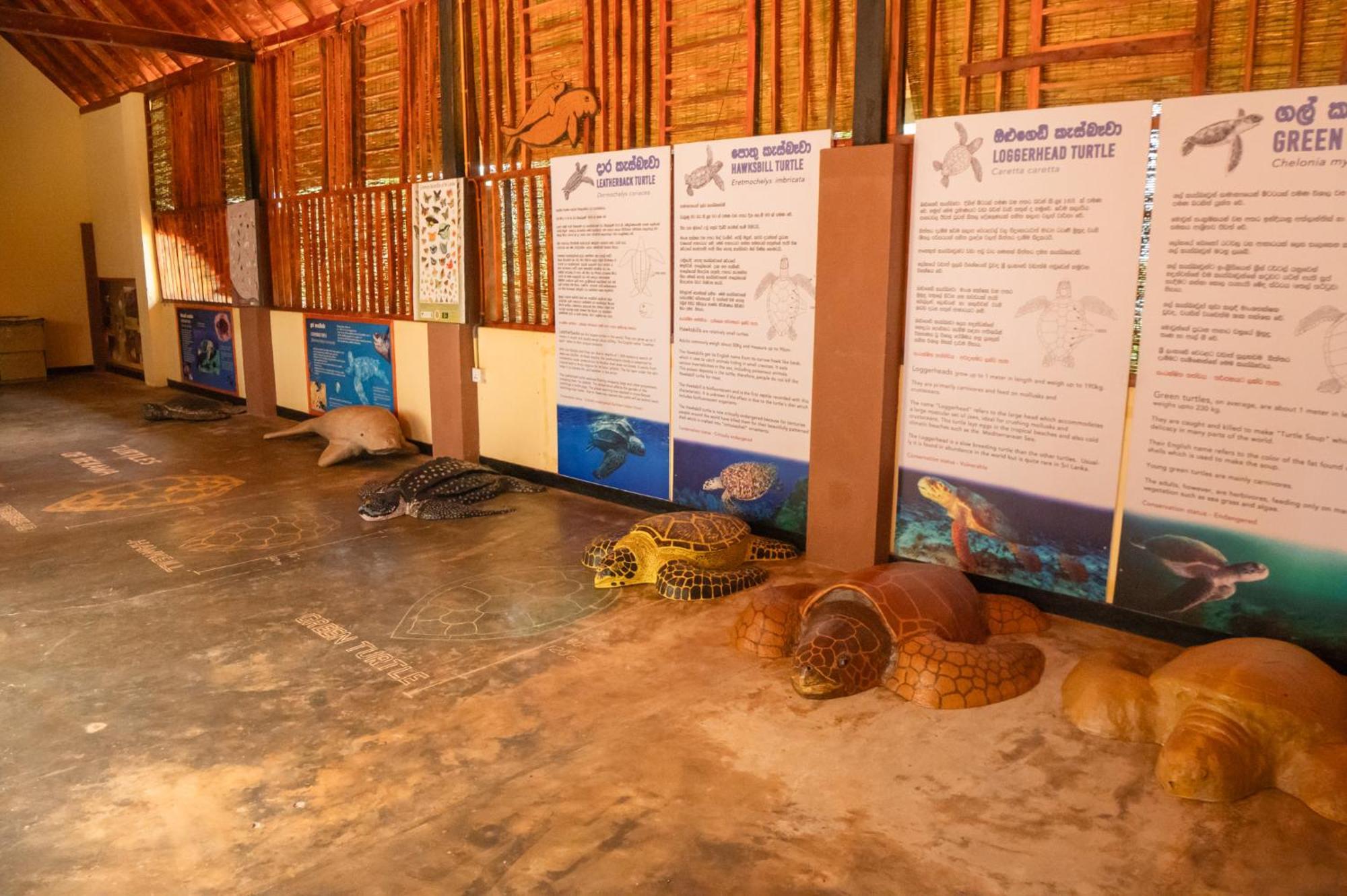 Rekawa Turtle Gate Hotel タンガラ エクステリア 写真